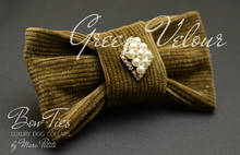 Load image into Gallery viewer, Green Velour Bow Tie