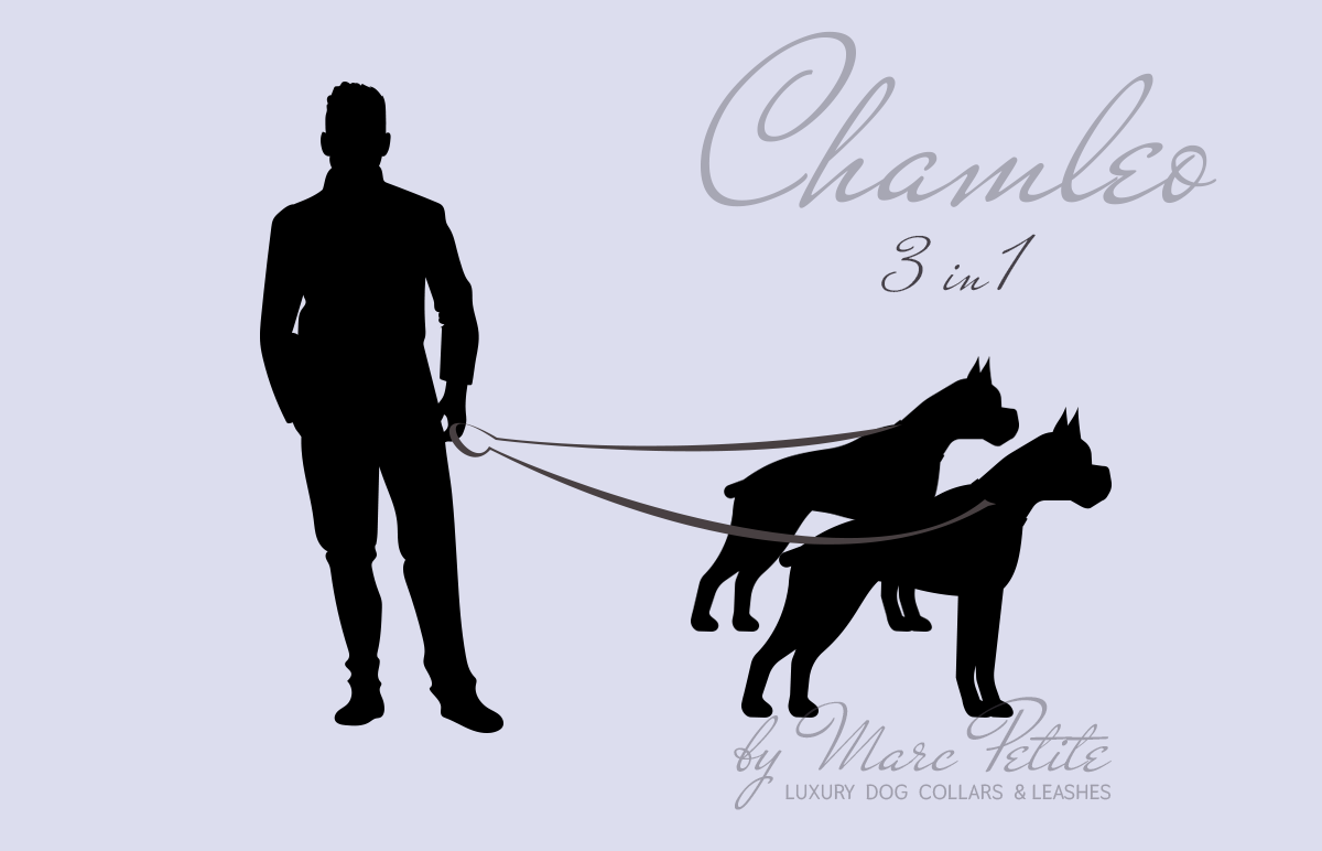 Chamleo - 3 in 1 Leather Dog Leash