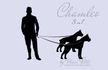 Charger l&#39;image dans la galerie, Chamleo - Laisse pour chien en cuir 3 en 1