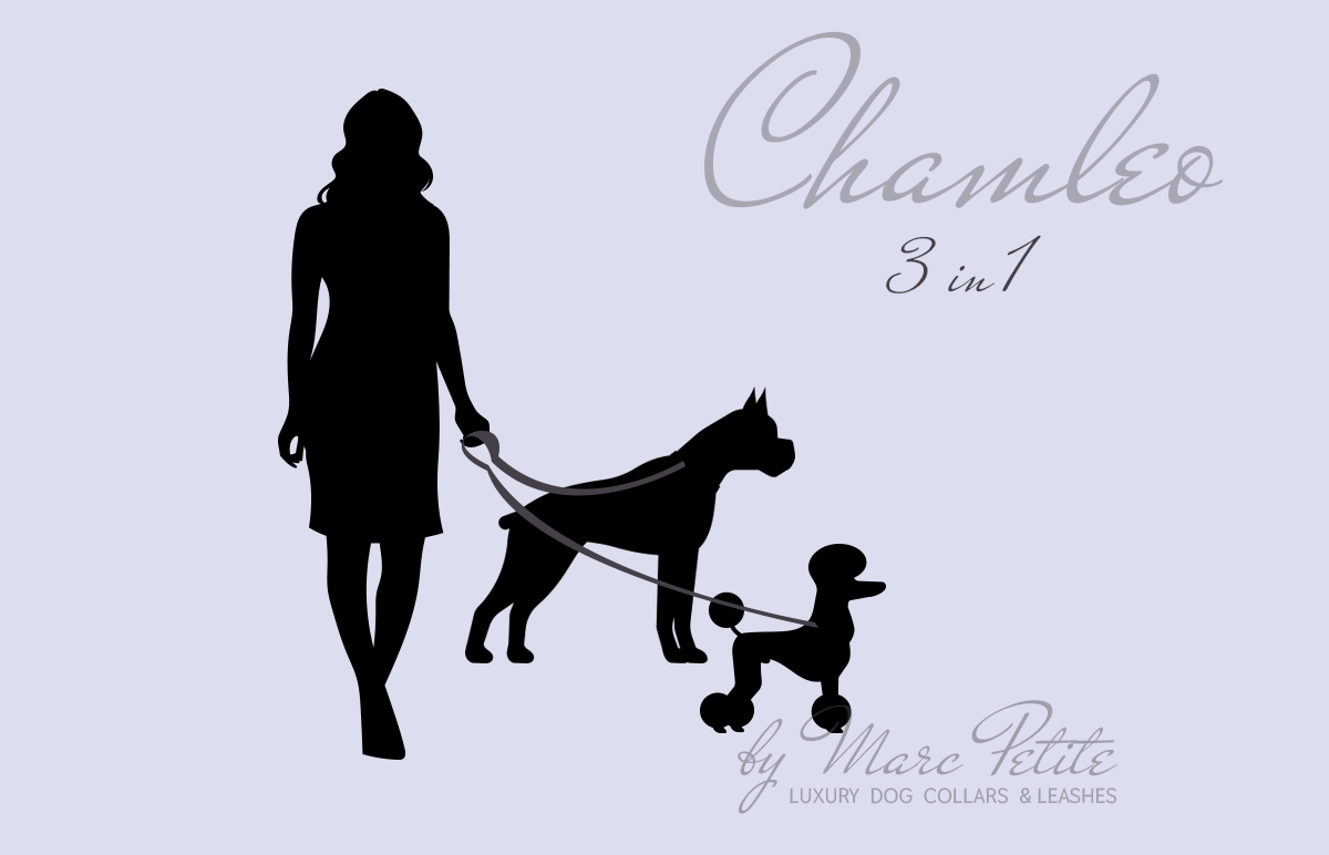 Chamleo - 3 in 1 Leather Dog Leash