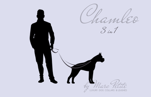 Chamleo - Laisse pour chien en cuir 3 en 1