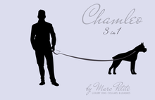 Charger l&#39;image dans la galerie, Luxury Dog Leash