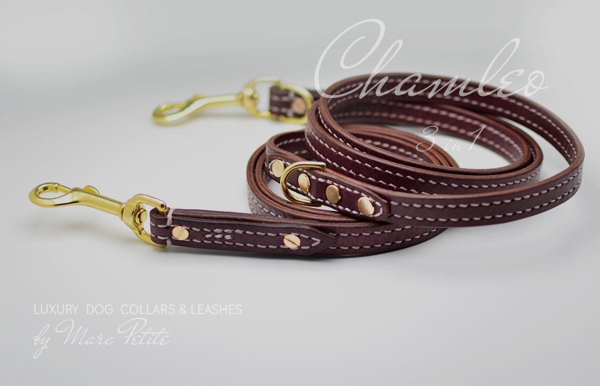 Vegetable tanned leather dog collar and matching leash