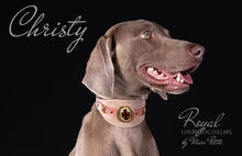 Load image into Gallery viewer, Designer Dog Collar - weimaraner