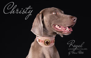 Designer Dog Collar - weimaraner