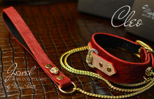 Load image into Gallery viewer, Jewelled Luxury Dog Collar with Leash in red Fur leather &amp; Gold Panther