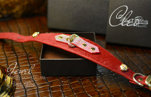 Bing Dog Collar in Red & Gold