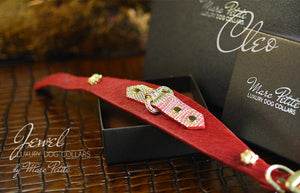 Chic Dog Collar in Red & Gold