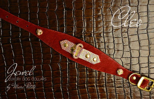 Unique Dog Collar in Red & Gold