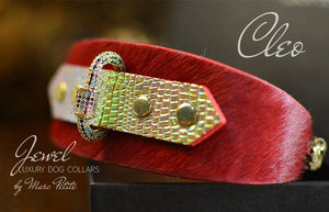 Jewelled Luxury Dog Collar in Red & Gold