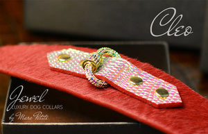 Luxury Dog Collar in Red & Gold