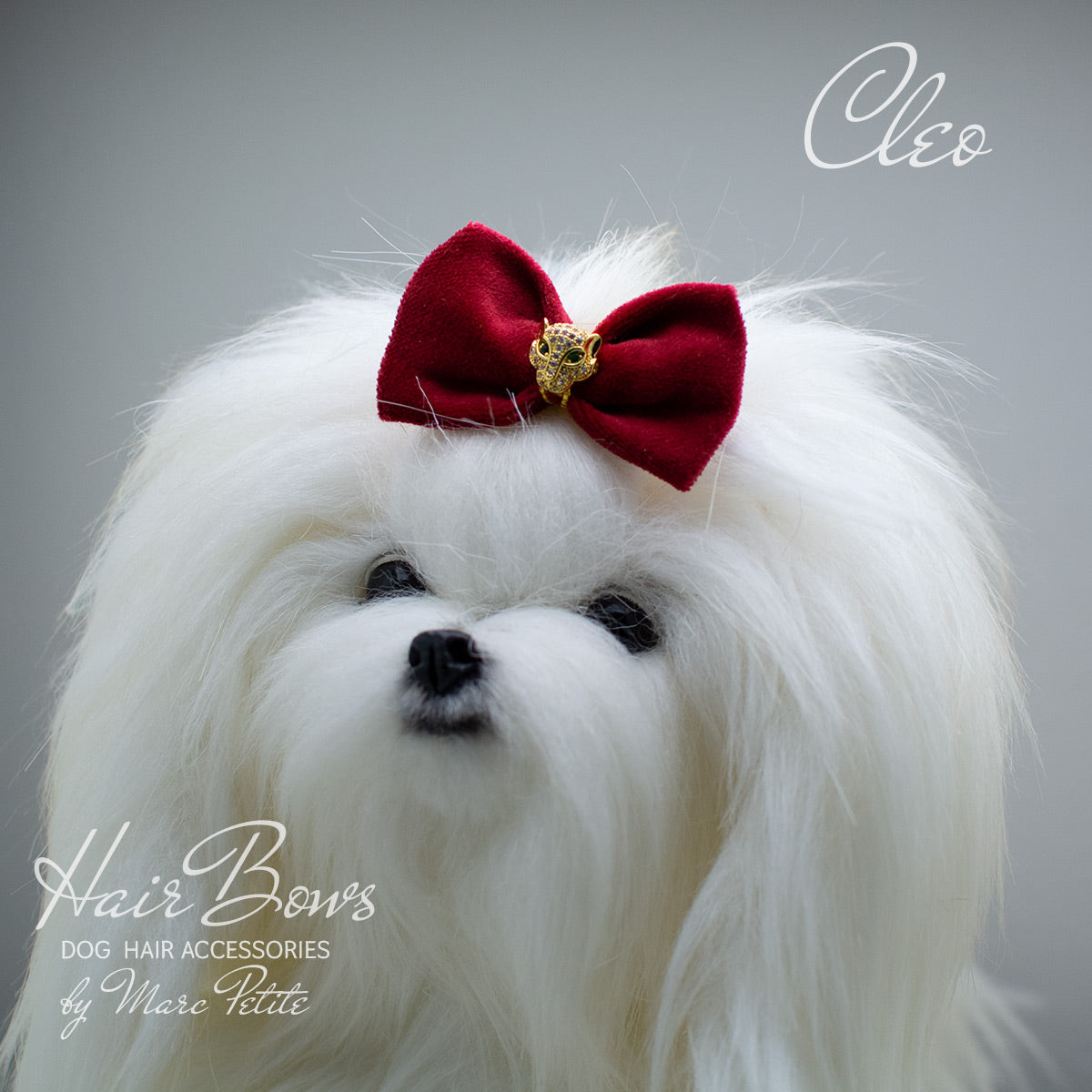 Cheap 100Pcs Dog Hair Bows Pet Puppy Hair Clip Bows Bright Flower Peals