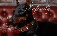 Load image into Gallery viewer, Leather Dog Collar with spikes for strong dogs like Doberman