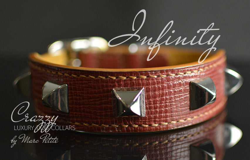 High-End Leather Dog Collar with Spikes