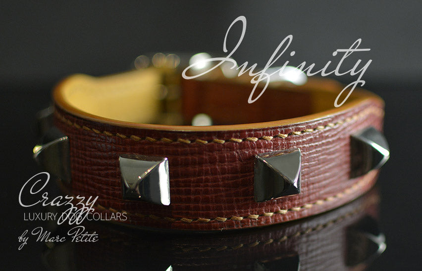 Loewe Style Dog Collar with Spikes