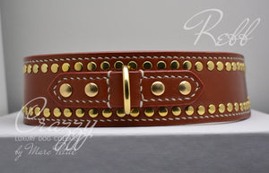 Vegetable Tanned Leather Dog Collar