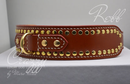 extra large leather dog collar