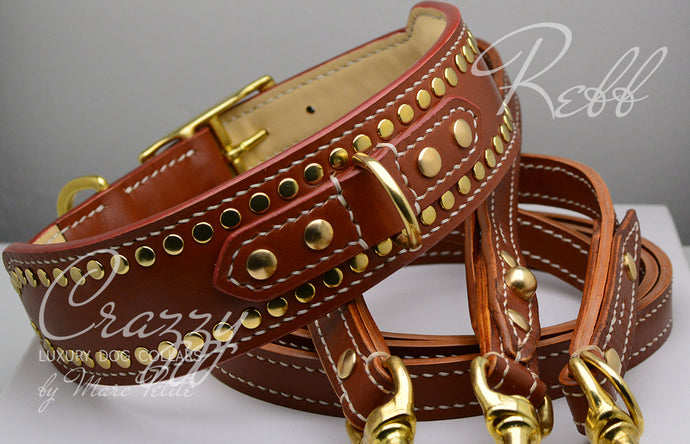 leather dog collar and matching leash for large dogs