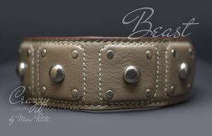 High-End Leather Dog Collar with Spikes for extra large dogs