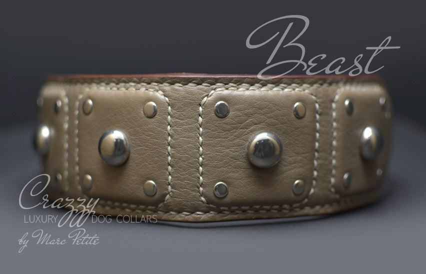 High-End Leather Dog Collar with Spikes for extra large dogs