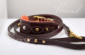 Crazzy Hound Dog Collar and Leash