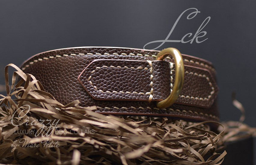 Brown leather dog collar