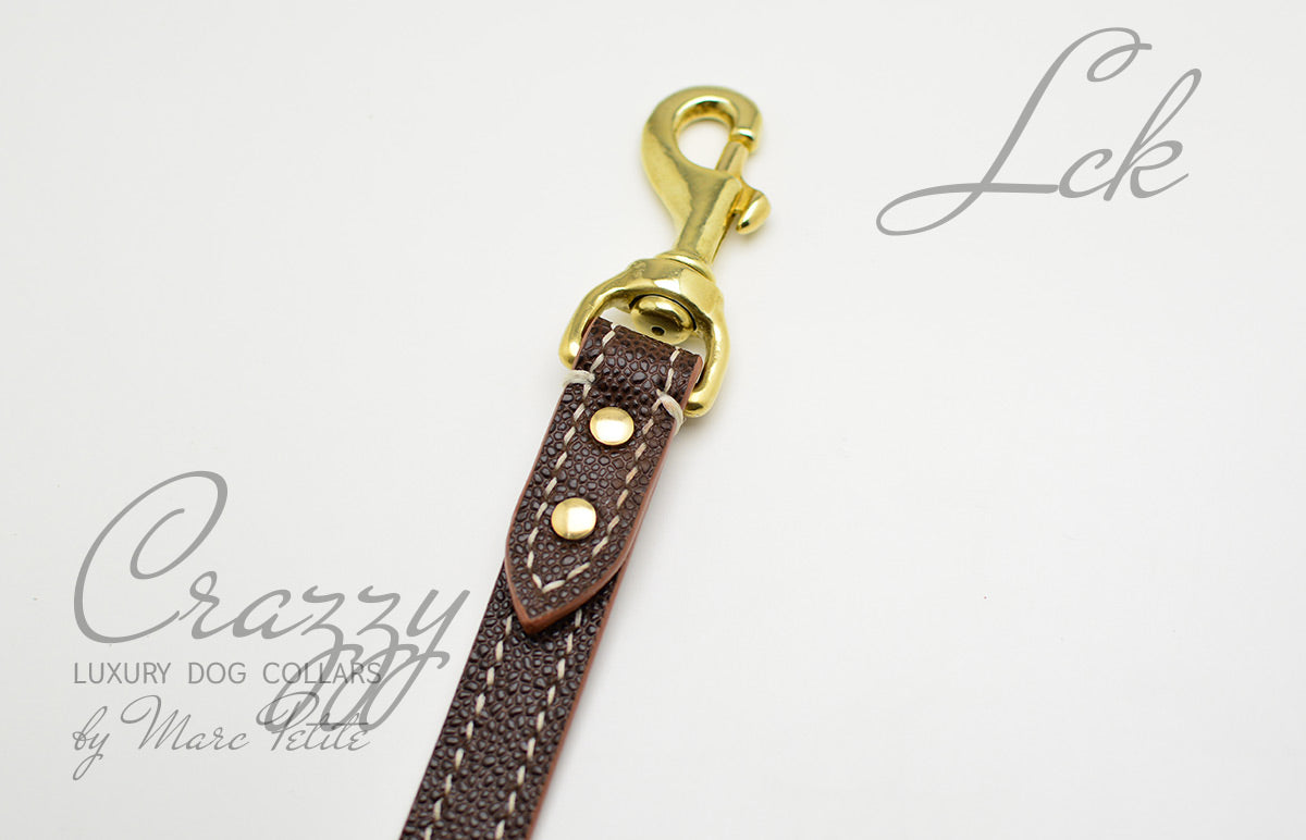 leather dog leash