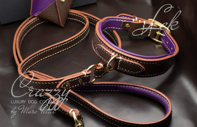 high quality dog collar and leash