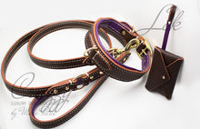 Charger l&#39;image dans la galerie, strong designer dog collar and leash