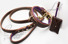 Load image into Gallery viewer, strong designer dog collar and leash