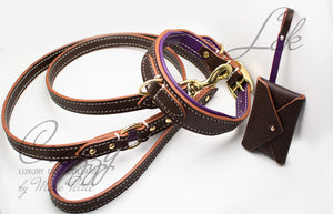 strong designer dog collar and leash