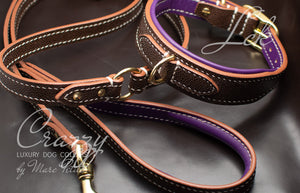 luxury dog collar and leash