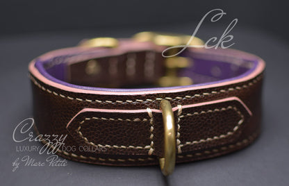 Luxury Dog Collar with soft pad