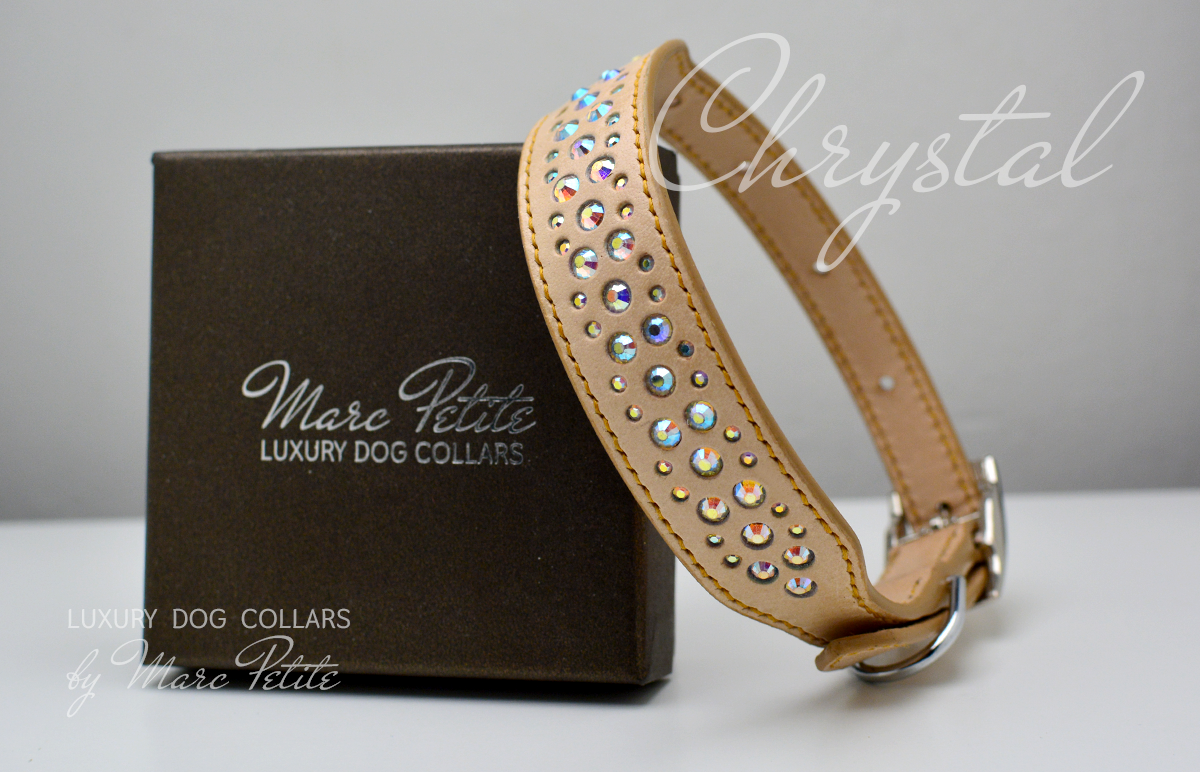 Swarovsky dog collar