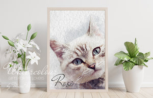 Custom Cat Portrait from Photo - Watercolour