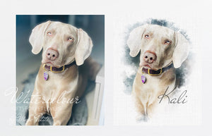 Custom Dog Portrait from Photo - Watercolour