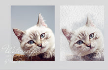 Charger l&#39;image dans la galerie, Portrait de chat personnalisé à partir d&#39;une photo - Aquarelle