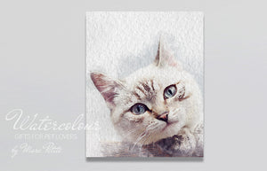Custom Cat Portrait from Photo - Watercolour