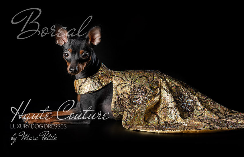 Gold Dog Dress - Boreal