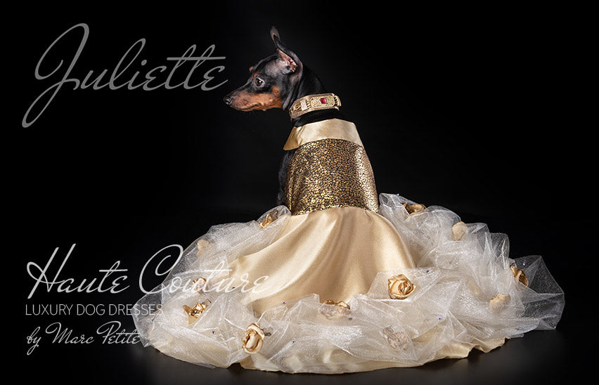 Juliette - Toy