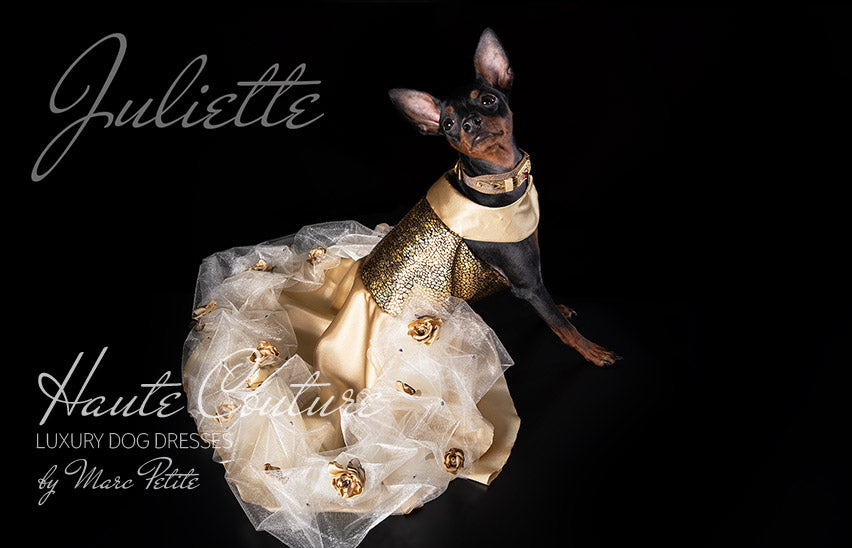 Luxury Dog Dress