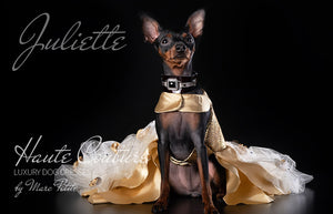 Wedding Dog Dress