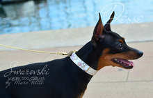 Load image into Gallery viewer, Fashion Dog Collar