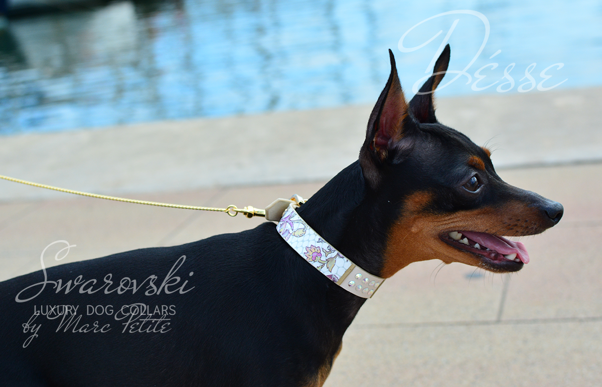 Désse Swarovski Dog Collar – Marc Petite