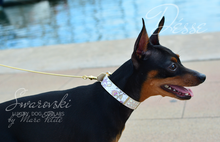 Load image into Gallery viewer, LuxuryDog Collar