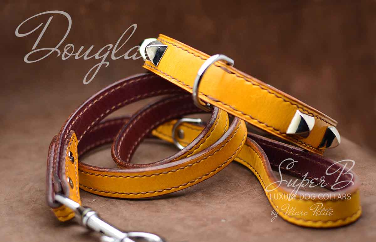 Vegetable tanned leather dog collar and matching leash in camel colour