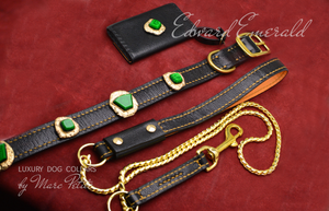 Exclusive Dog Collar, leash and bag holder