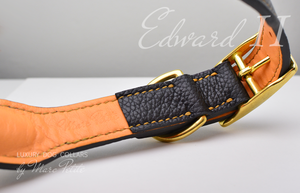 High end dog collar