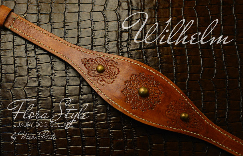 Dog Collars for Galgo