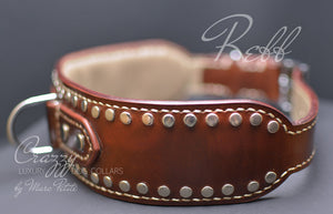 Collar with rivets for large dogs
